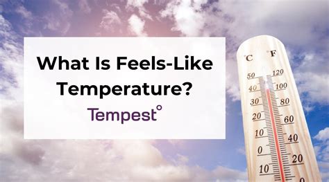 Feels Like Temps .